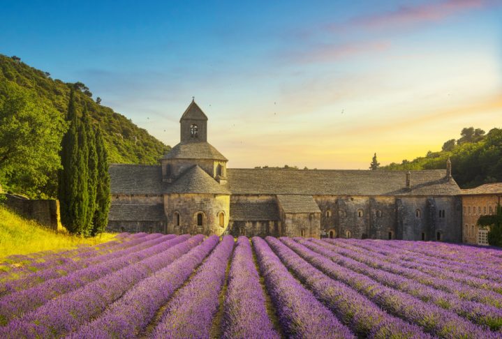 Abbey of Senanque and blooming rows lavender flowers panoramic view at sunset. Gordes, Luberon, Vaucluse, Provence, France, Europe.